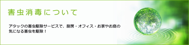 害虫消毒について